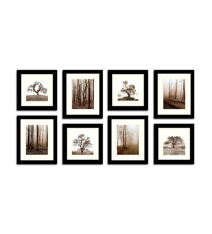 ChitraFrames: 8-Piece Set of Black Synthetic Wood Photo Frames